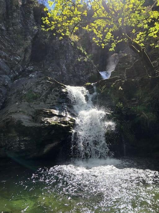 Maison Rurale Au Coeur Des Cevennes Ardechoises Dompnac Bagian luar foto