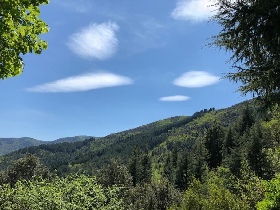 Maison Rurale Au Coeur Des Cevennes Ardechoises Dompnac Bagian luar foto